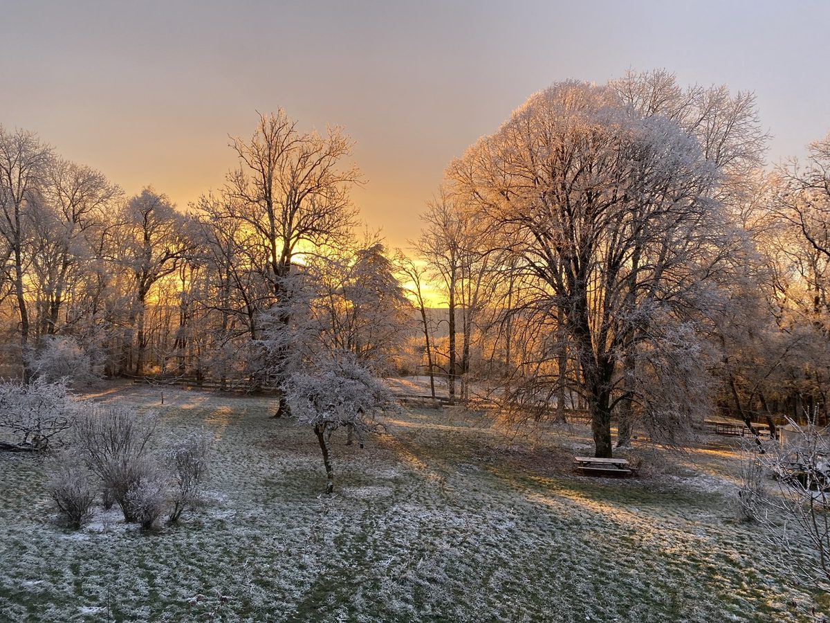 Le parc sous le givre, un matin d’hiver