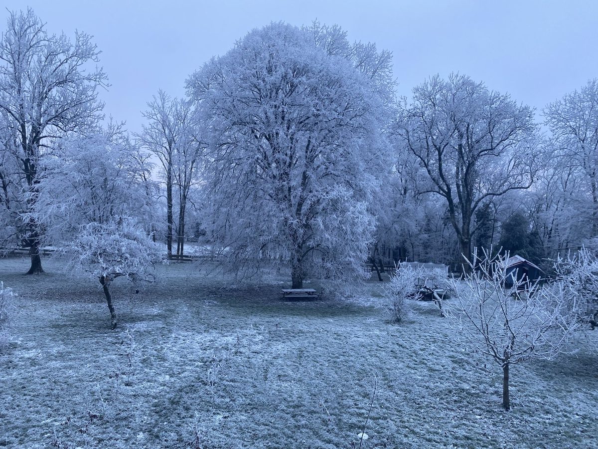 Le parc sous le givre