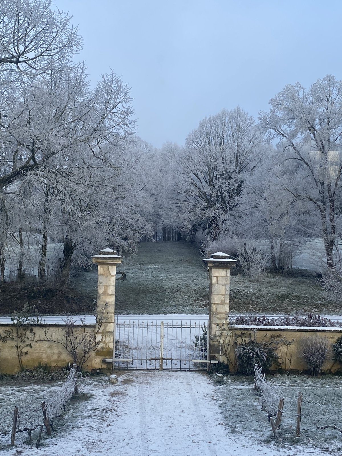 Le portail sous le givre
